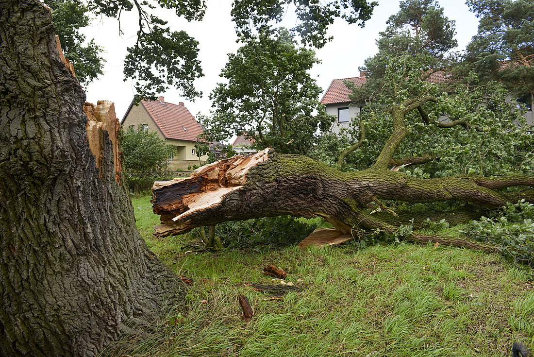 Nach einem Sturmschaden gilt zu klären, welche Versicherung welchen Anteil des Schadens übernehmen kann. 
